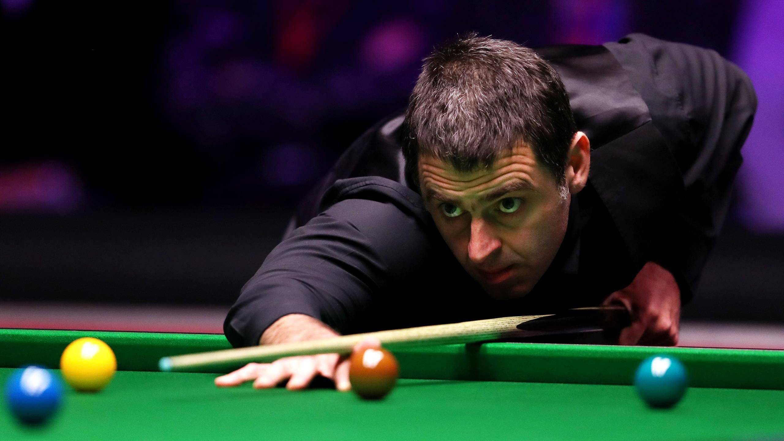 球迷也能从 球迷也能从